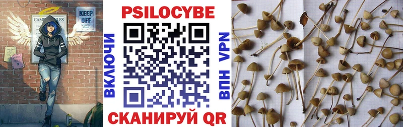 Галлюциногенные грибы Magic Shrooms Макушино