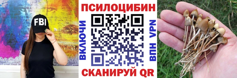 как найти закладки  Макушино  Псилоцибиновые грибы мицелий 