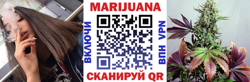 Конопля планчик Макушино